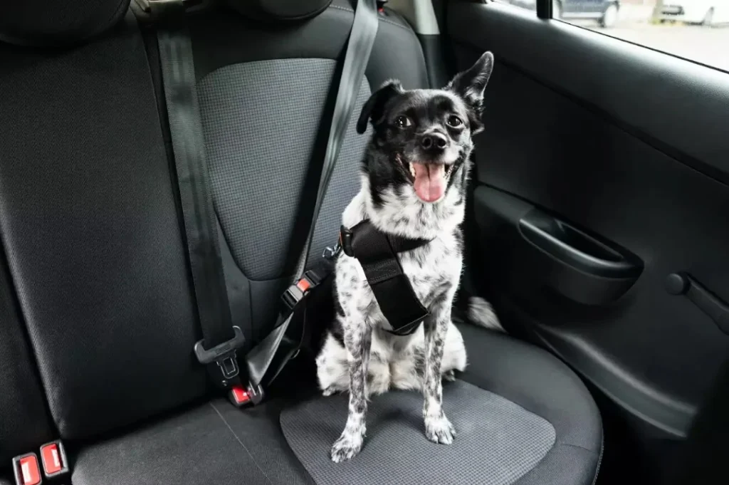 dog car seat carrier bag