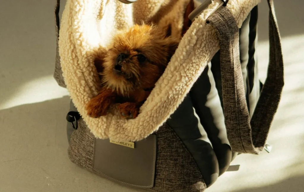 dog carrier for car front seat