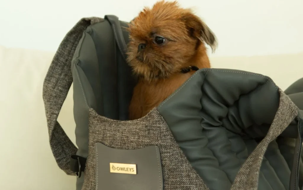 small dog car seat carrier