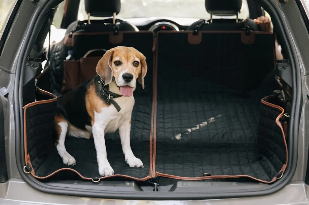 mini cooper dog seat cover