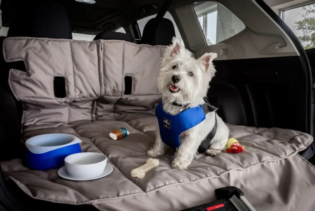 Subaru Forester dog seat cover