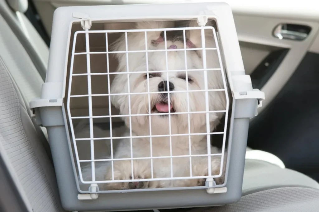 small dog car seat carrier