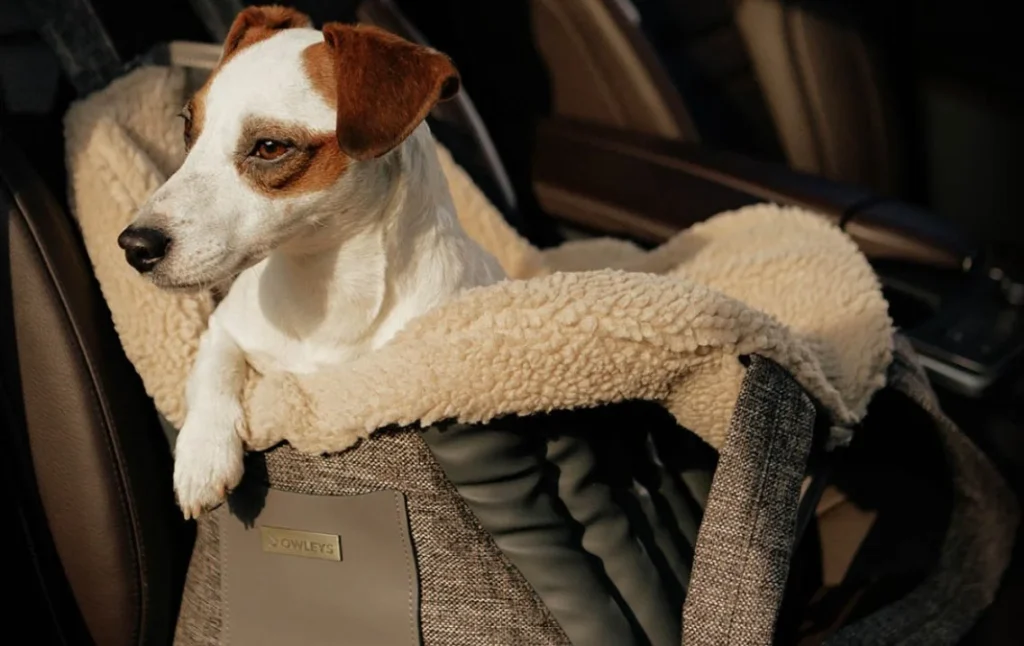 best back seat dog carrier