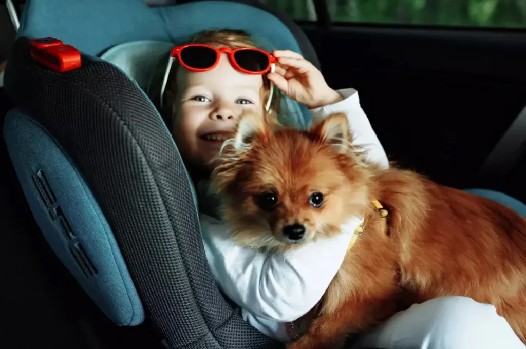 luxury dog car booster seat