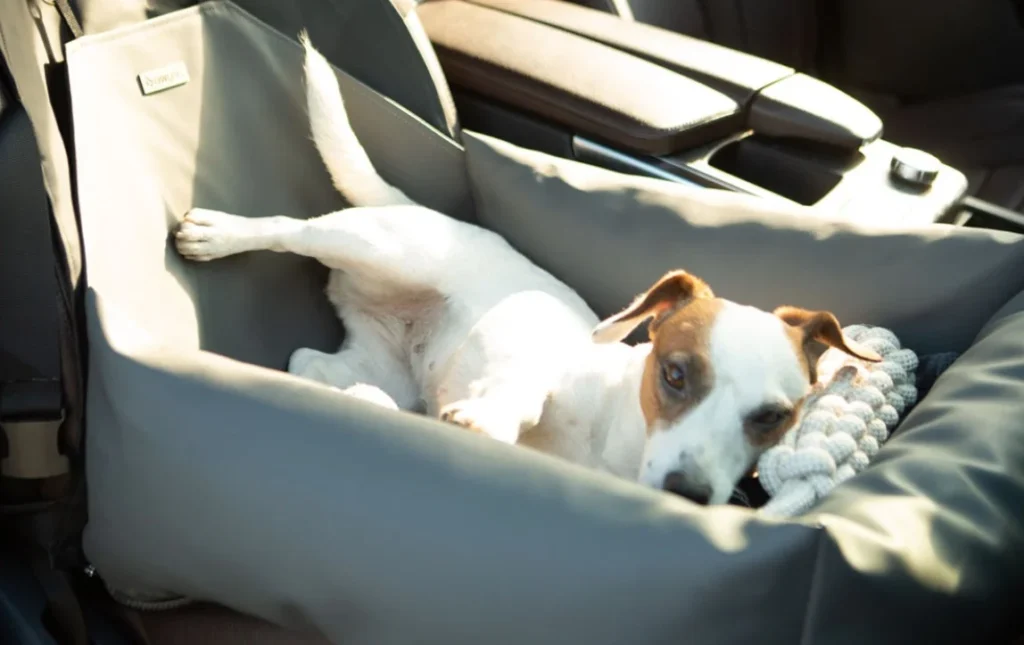 luxury dog car booster seat