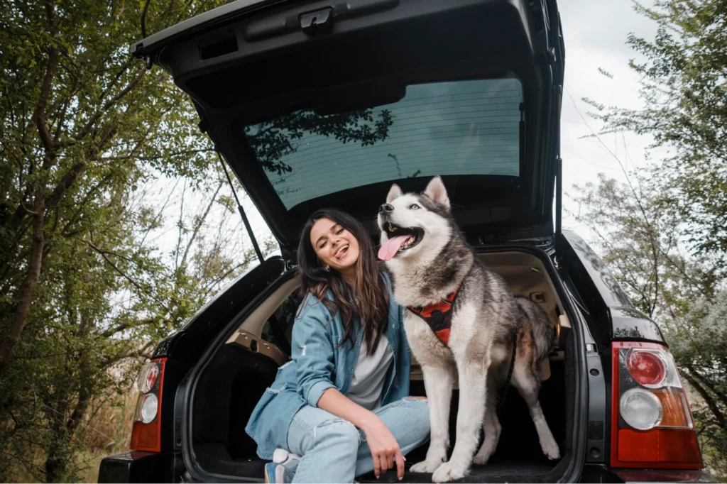 husky truck seat covers