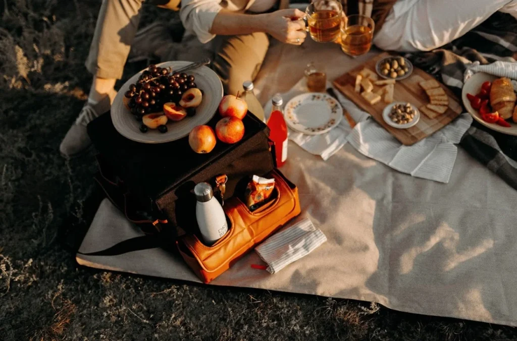 luxury picnic blankets